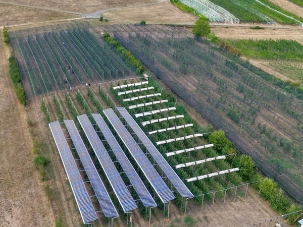 Luftaufnahme der Agri-PV-Anlage.