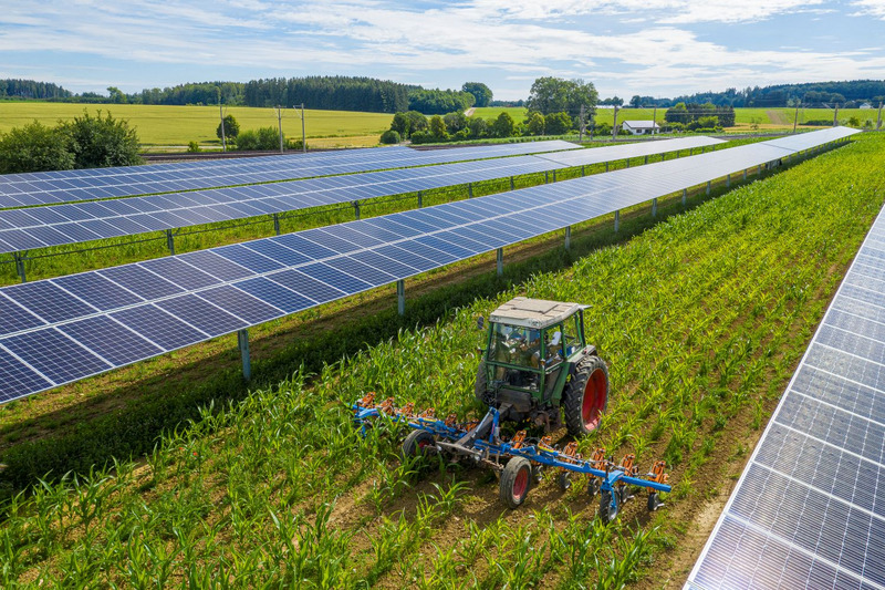 Ein Traktor fährt über ein Feld, auf dem links und rechts aufgeständerte, lange Reihen von Fotovoltaikmodulen stehen. Das Wetter ist gut und alles wirkt sehr freundlich.