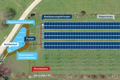 Eine Grafik zeigt die Agri-Photovoltaikanlage schematisch von oben. Die drei Reihen Panels haben Regenrinnen, welche Wasser zu einem Rückhaltebecken führen, von wo aus es bei Bedarf zurückgeführt werden kann. Es ist angeschrieben, dass der Strom der Anlage zum FiBL geführt wird.